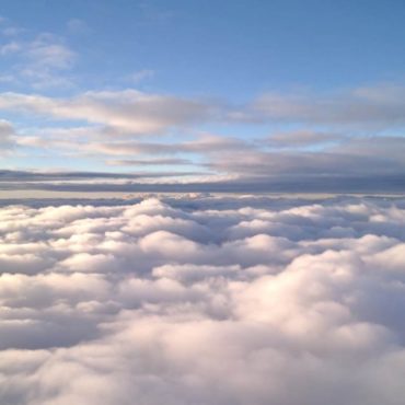 Google Flights Tutorial